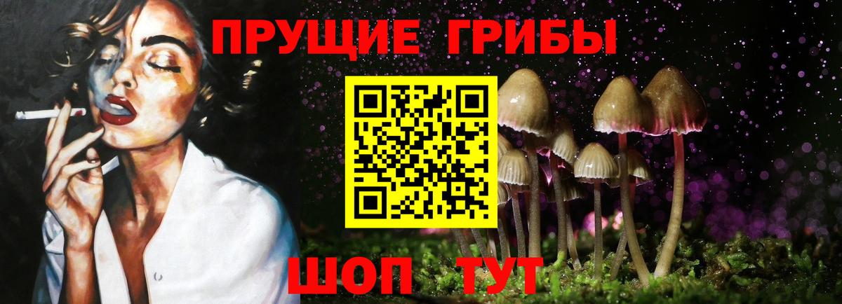Галлюциногенные грибы прущие грибы Энгельс